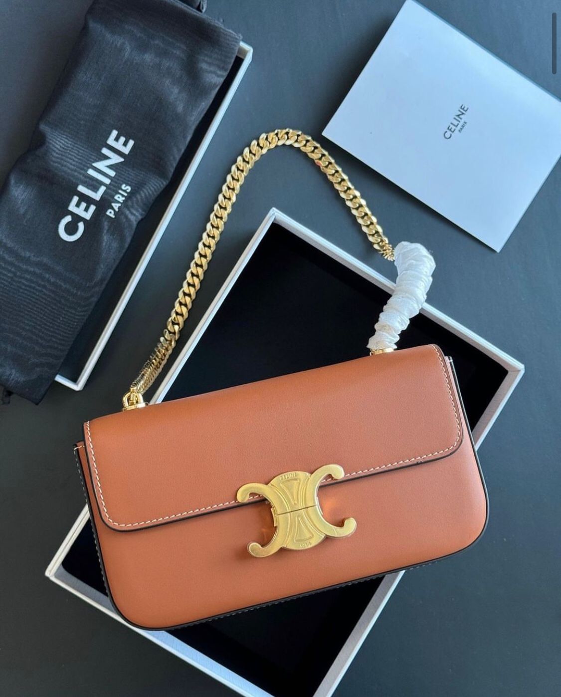 CELINE MULTIPOCHETTE triumph canvas and calfskin